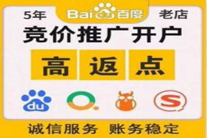 某某SEM公司：一则关于搜索引擎营销的经典成功案例